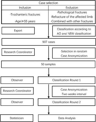 Proposal and validation of a new classification for trochanteric fractures based on medial buttress and lateral cortical integrity